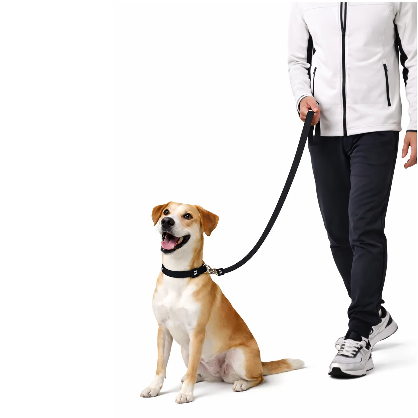 Solid Color Leash
