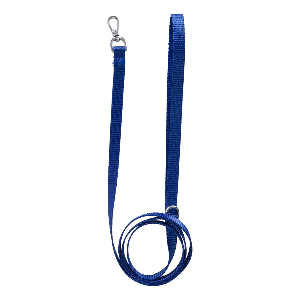 Solid Color Leash
