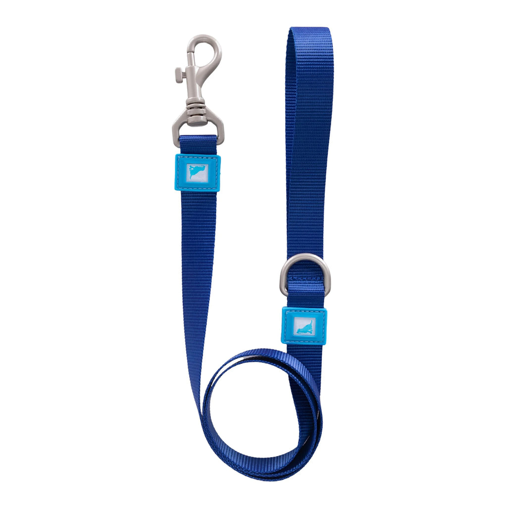 Solid Color Leash