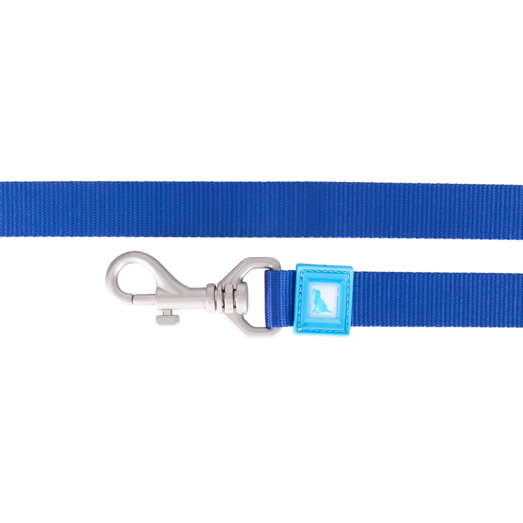 Solid Color Leash