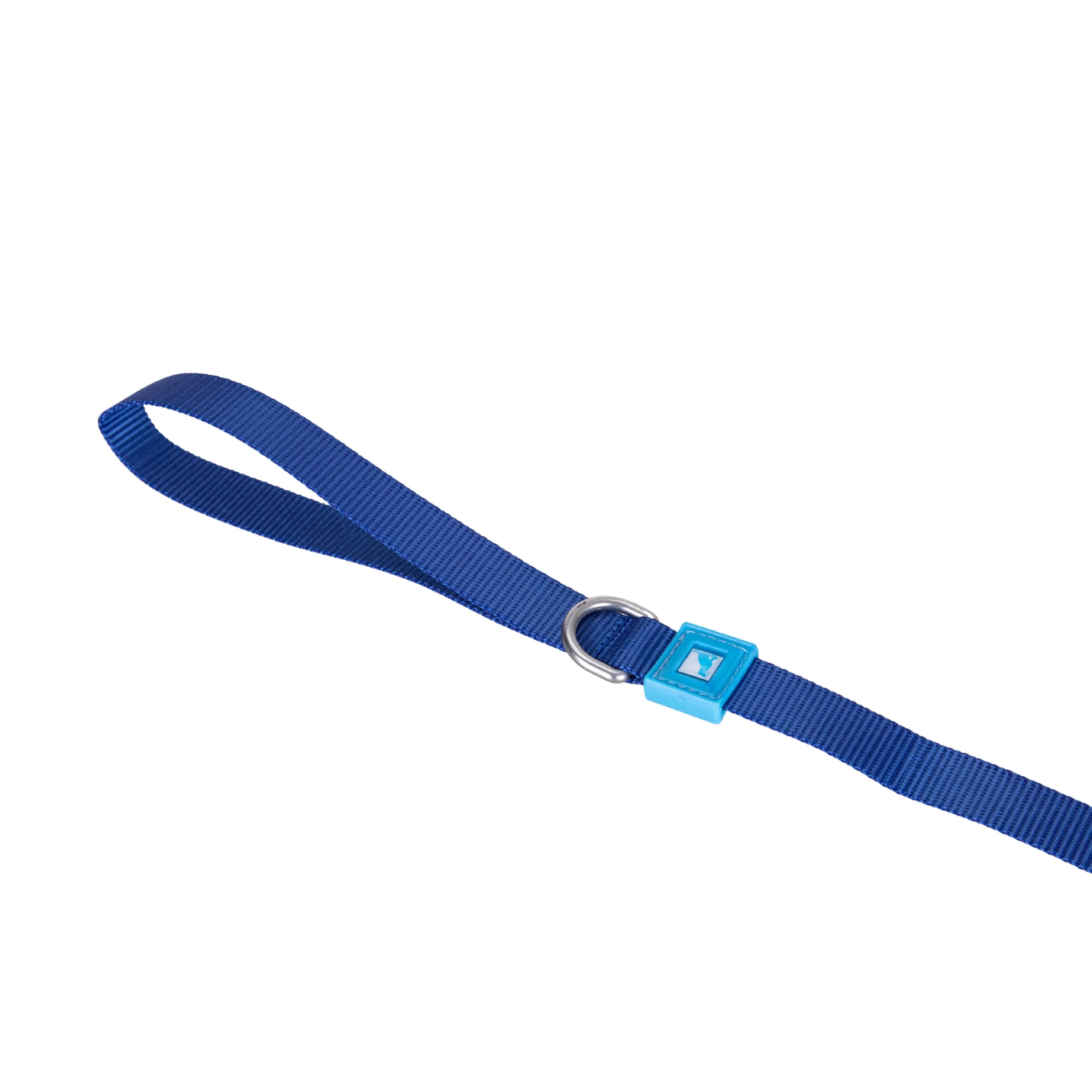 Solid Color Leash