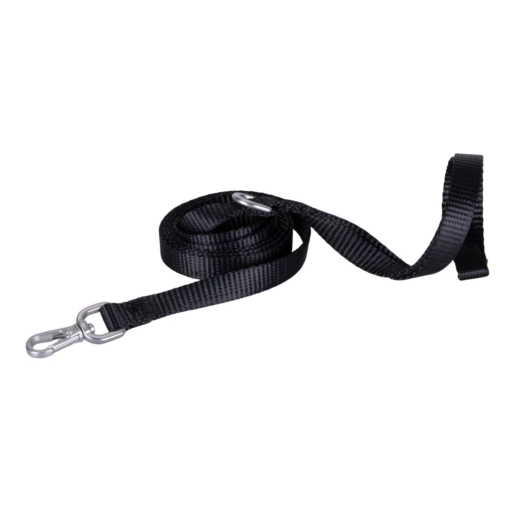 Solid Color Leash