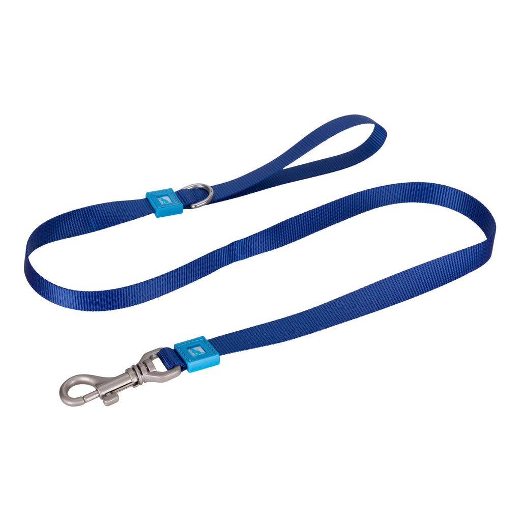 Solid Color Leash