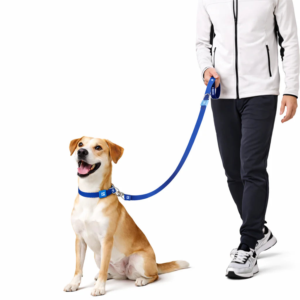 Solid Color Leash