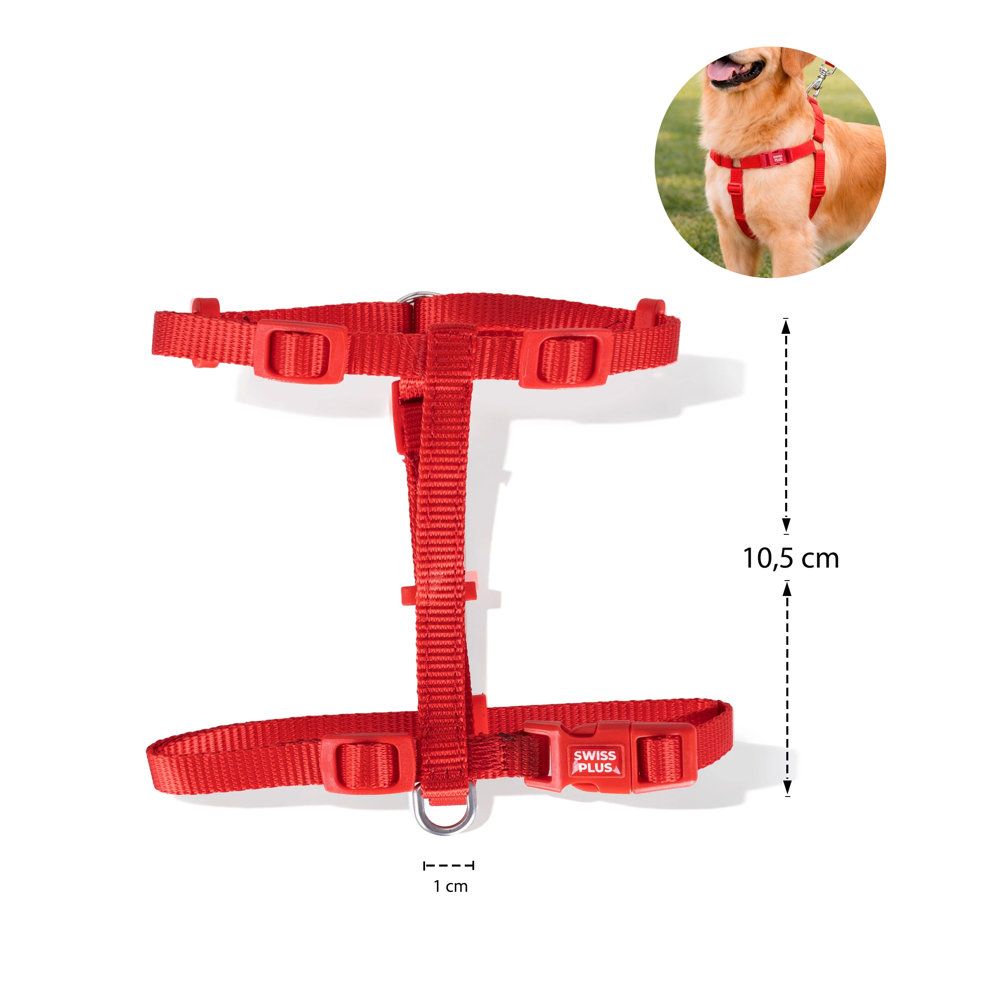 Solid Color H-Type Harness