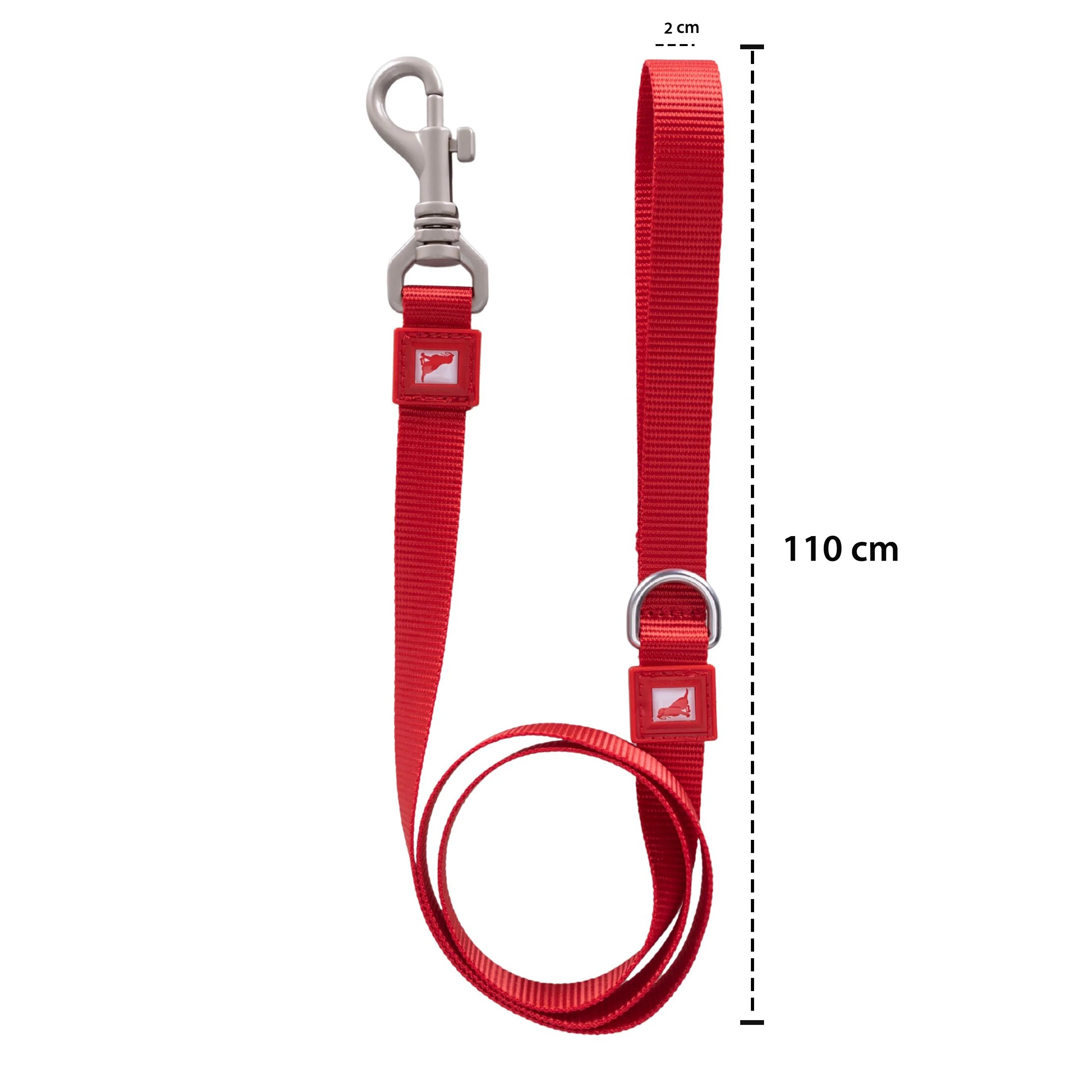 Solid Color Leash