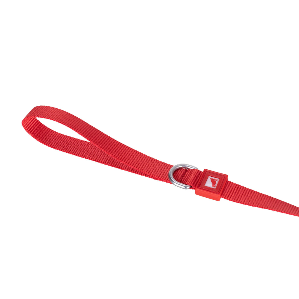 Solid Color Leash