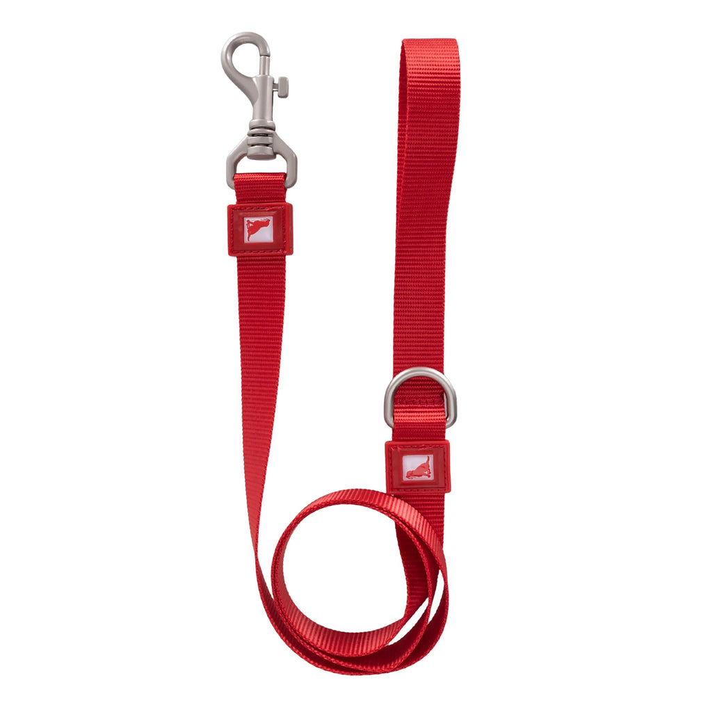 Solid Color Leash