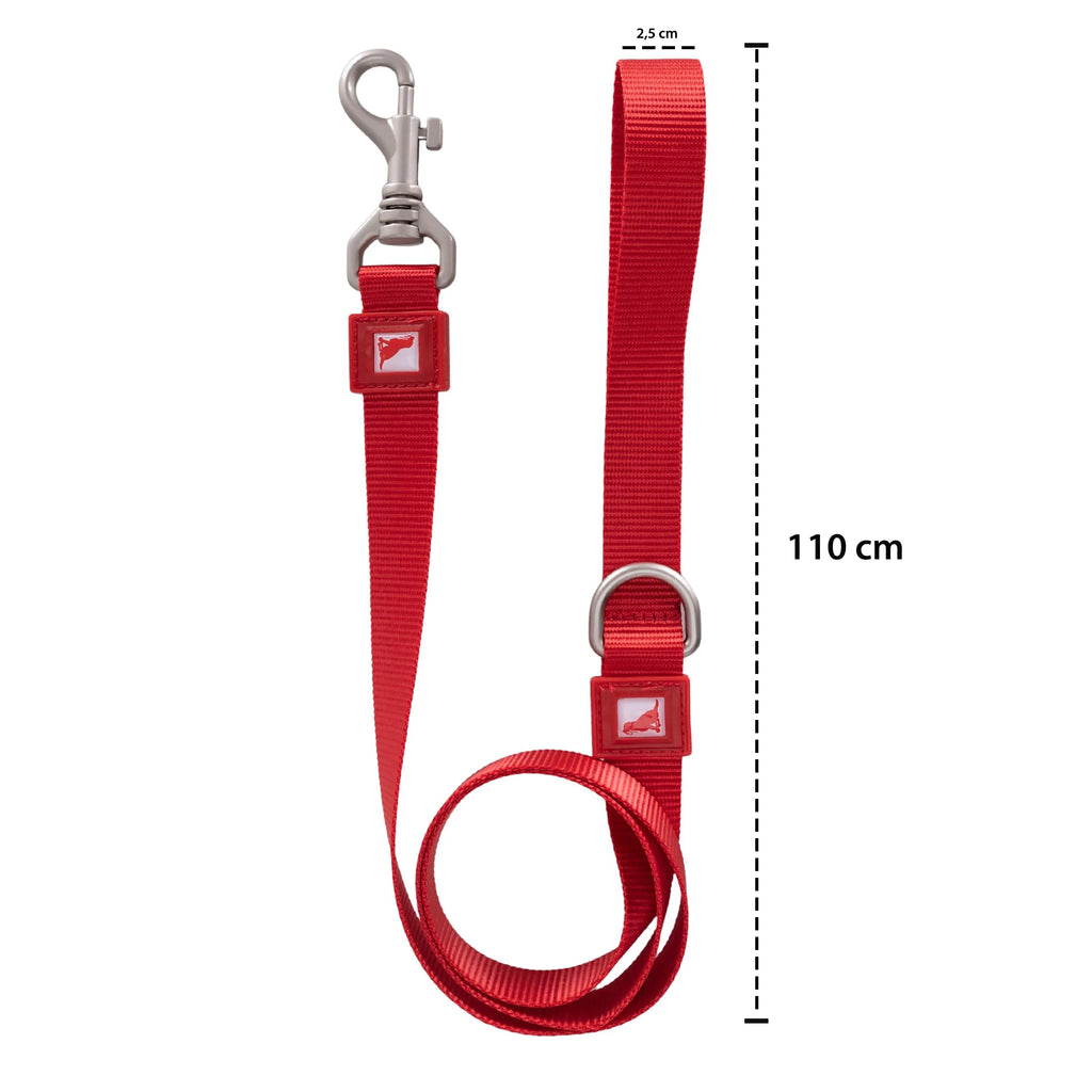 Solid Color Leash