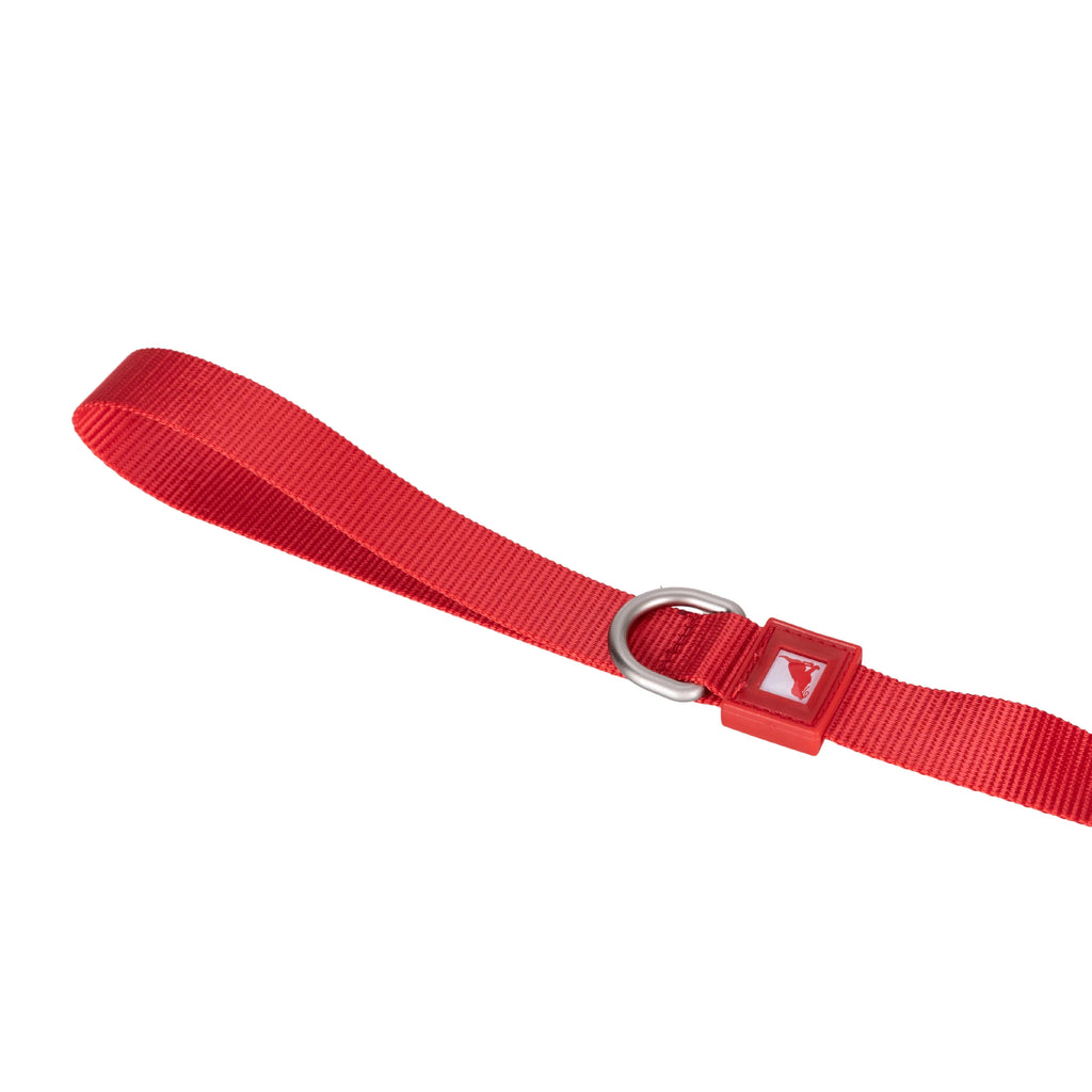 Solid Color Leash