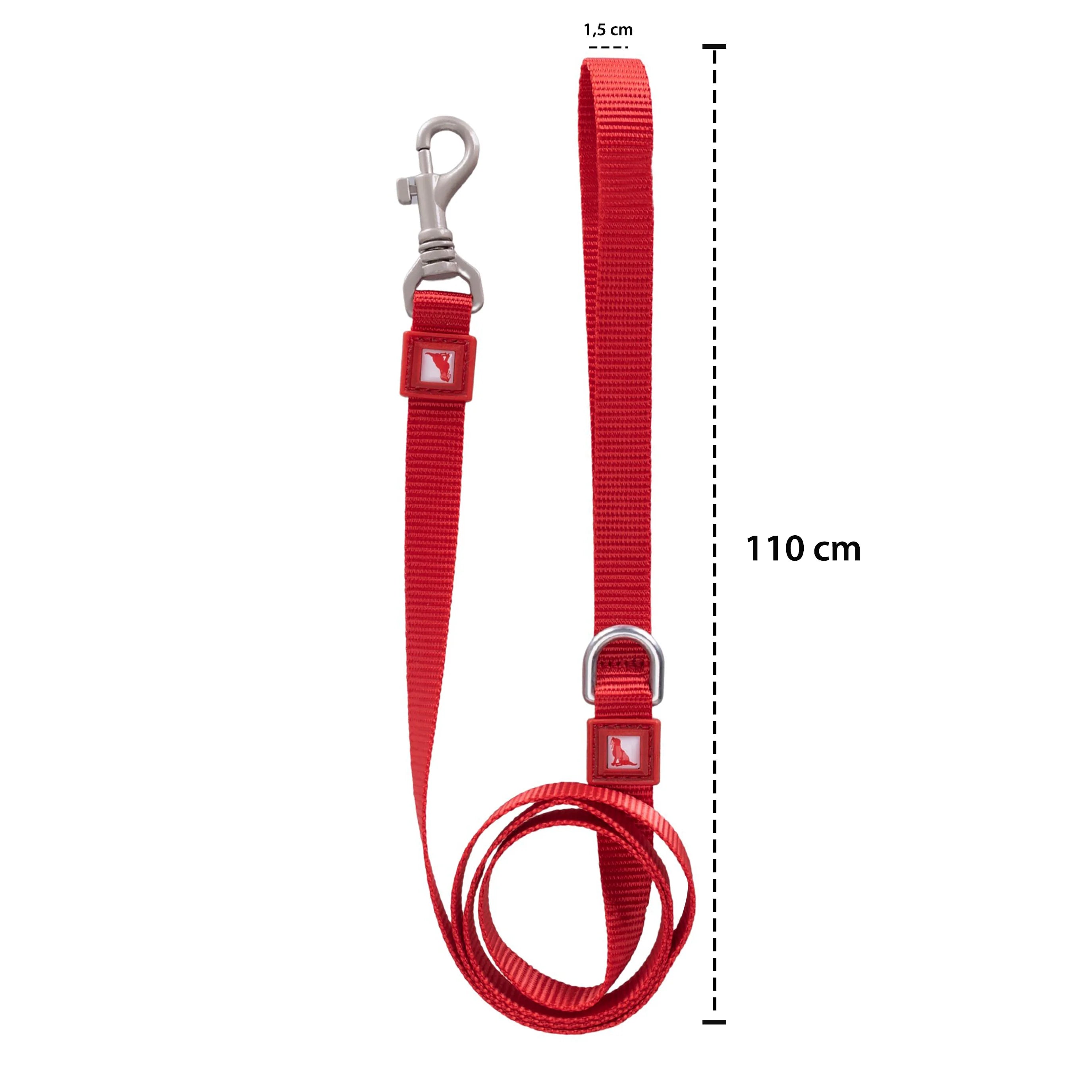 Solid Color Leash