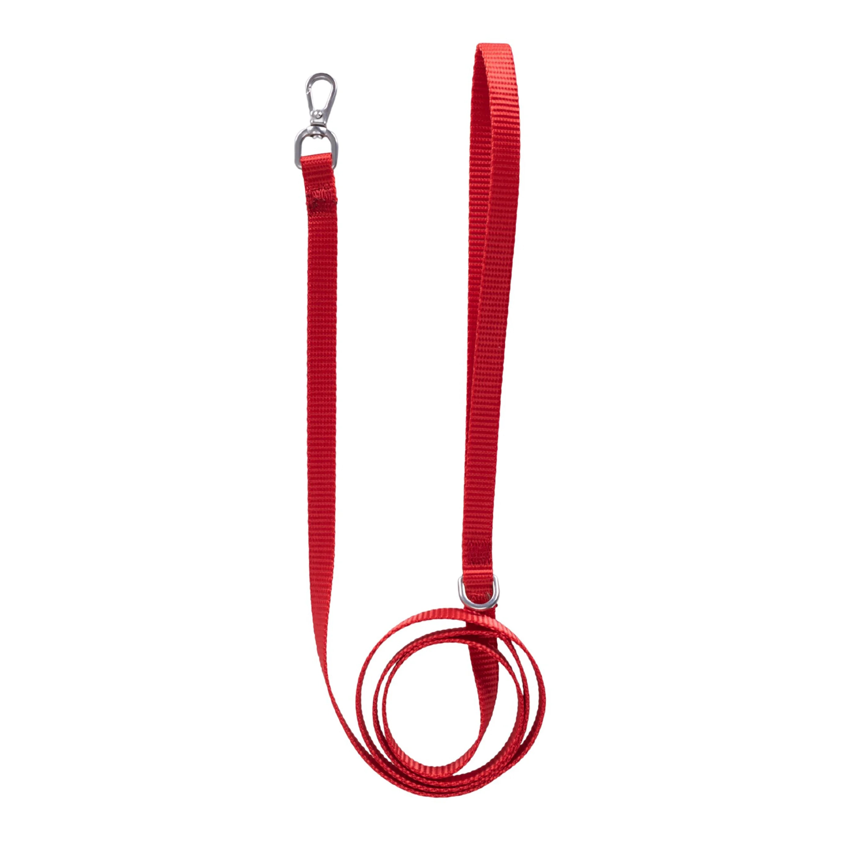 Solid Color Leash