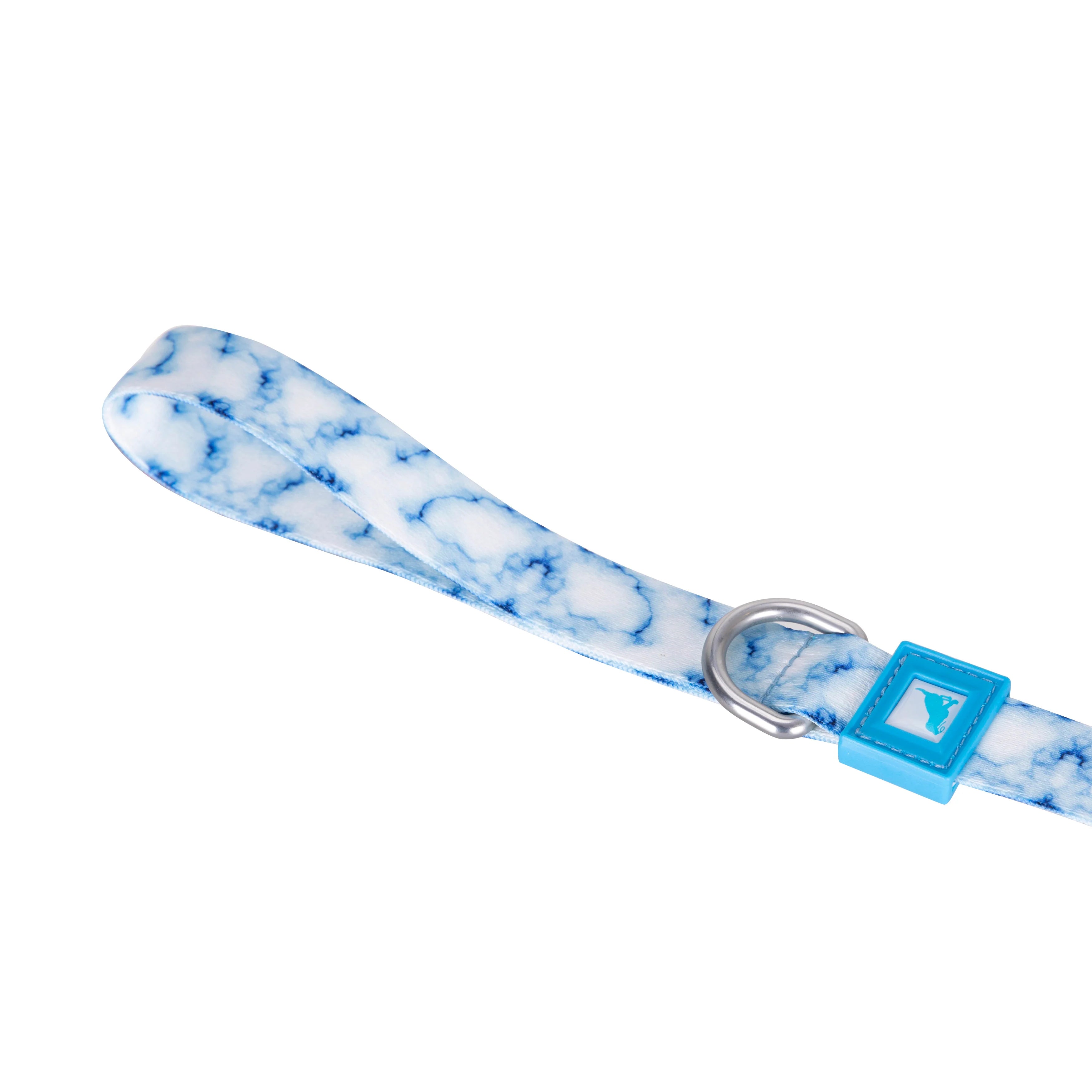 Patterned Recycled Leash