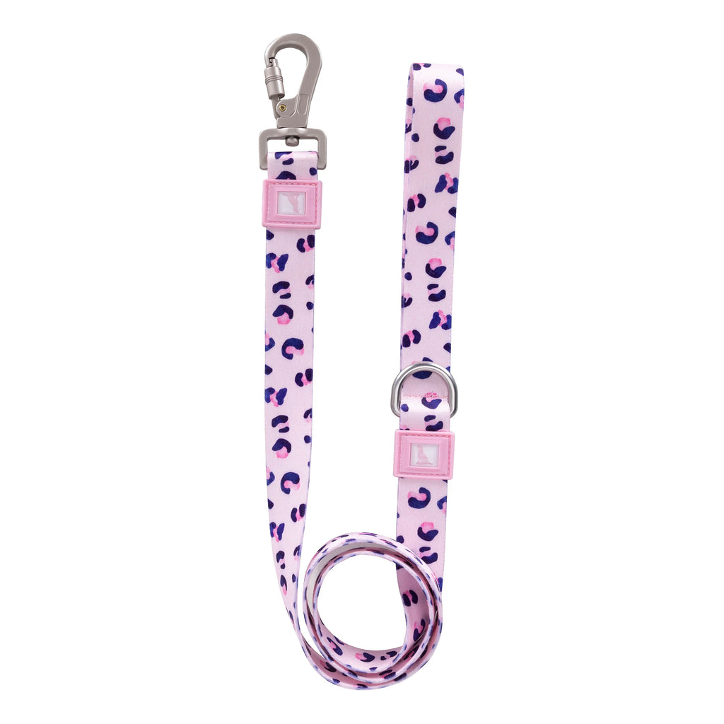 Patterned Recycled Leash