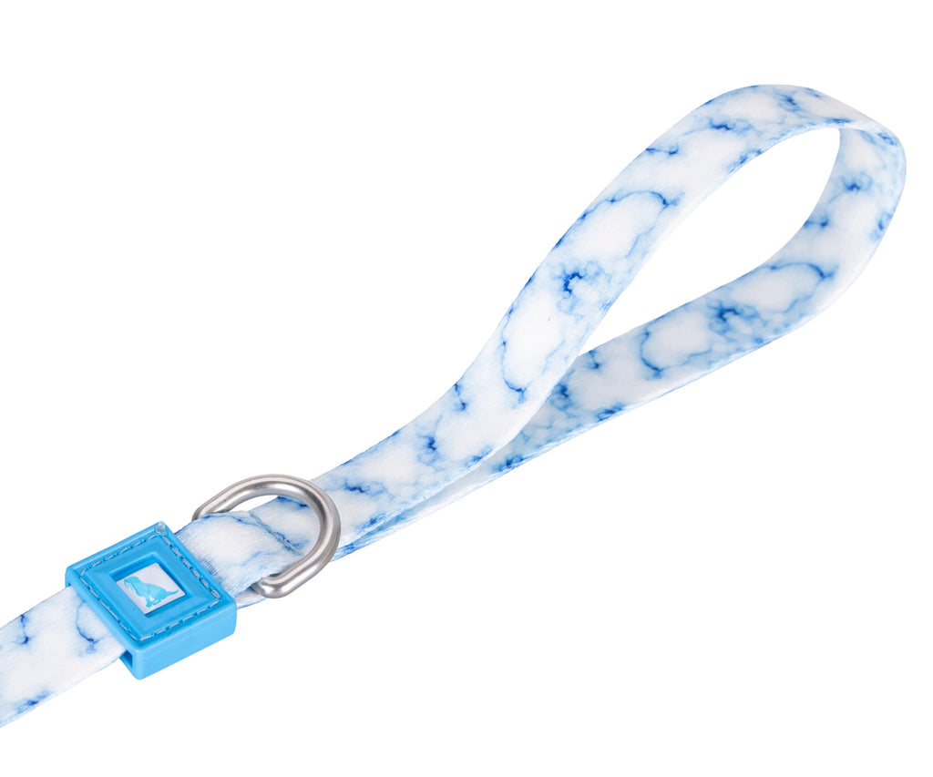 Patterned Recycled Leash
