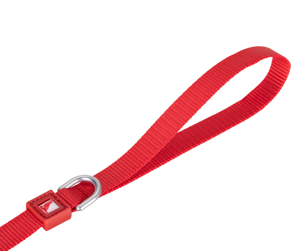 Solid Color Leash
