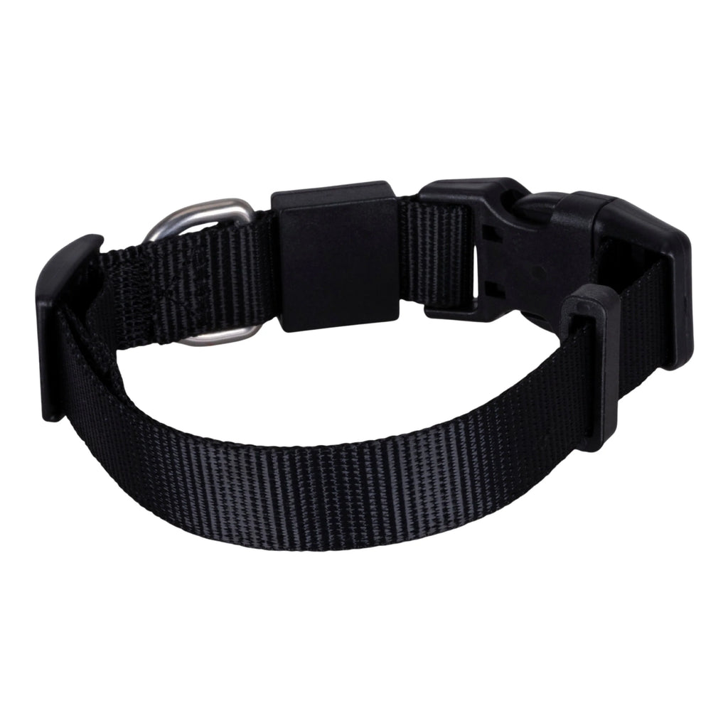 Solid Color Dog & Cat Collar