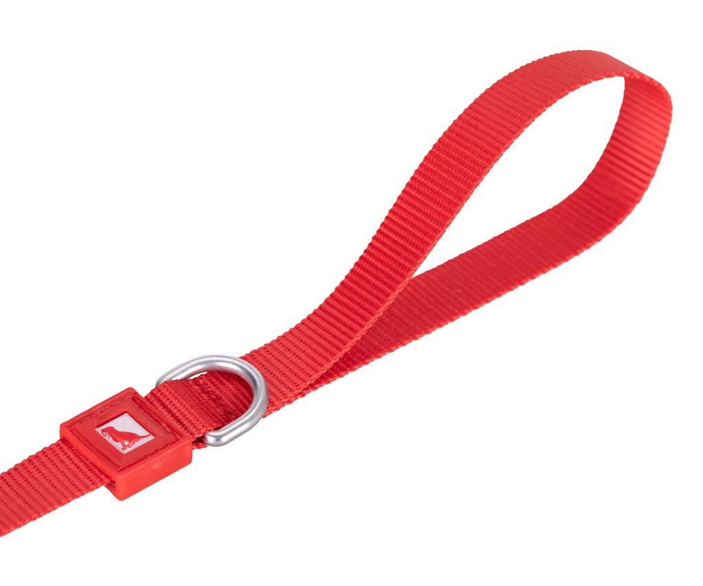 Solid Color Leash