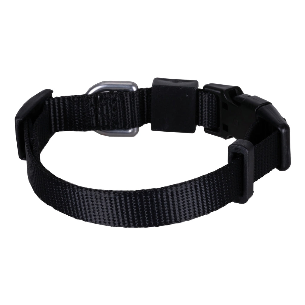 Solid Color Dog & Cat Collar