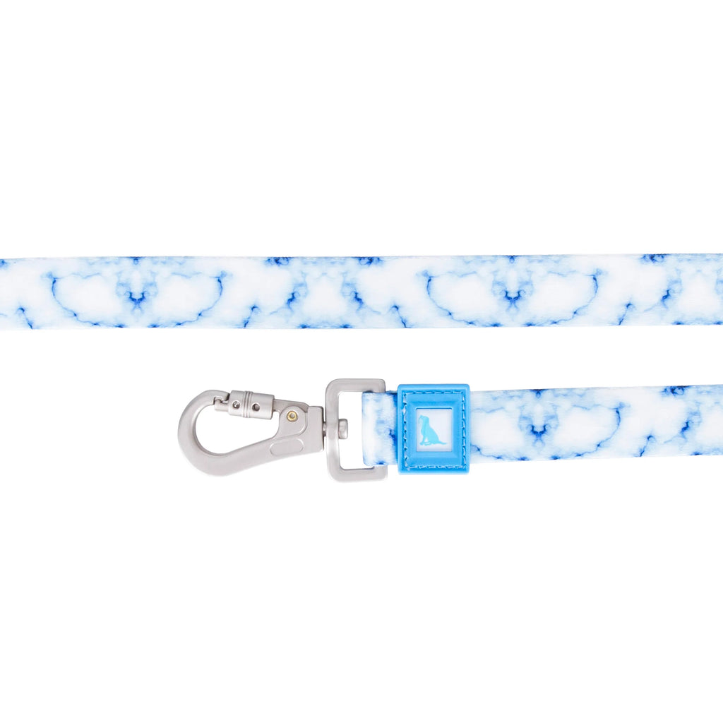 Patterned Recycled Leash
