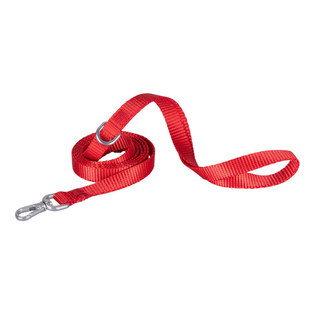 Solid Color Leash