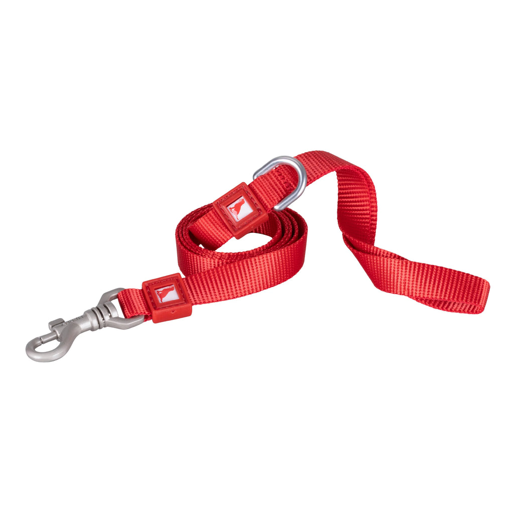 Solid Color Leash