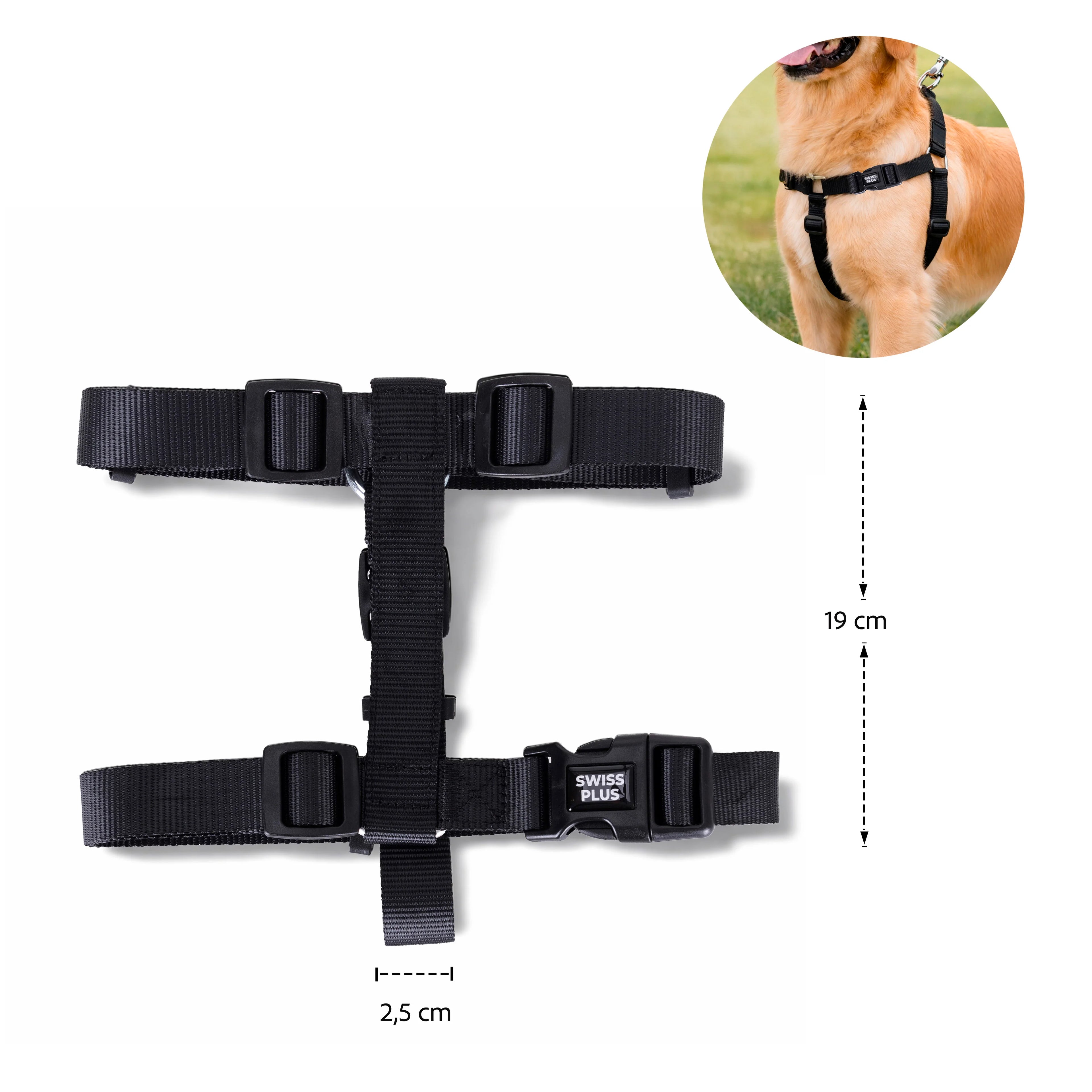 Solid Color H-Type Harness