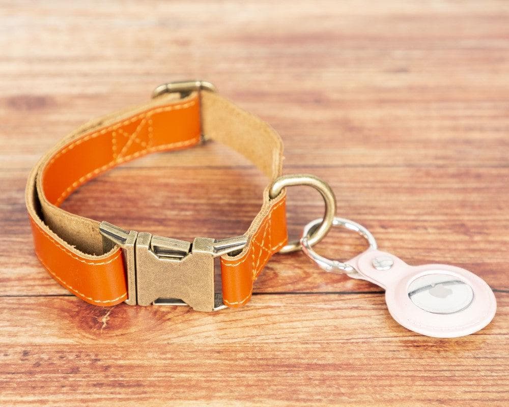 Scobby Leather Dog Collar Bouletta